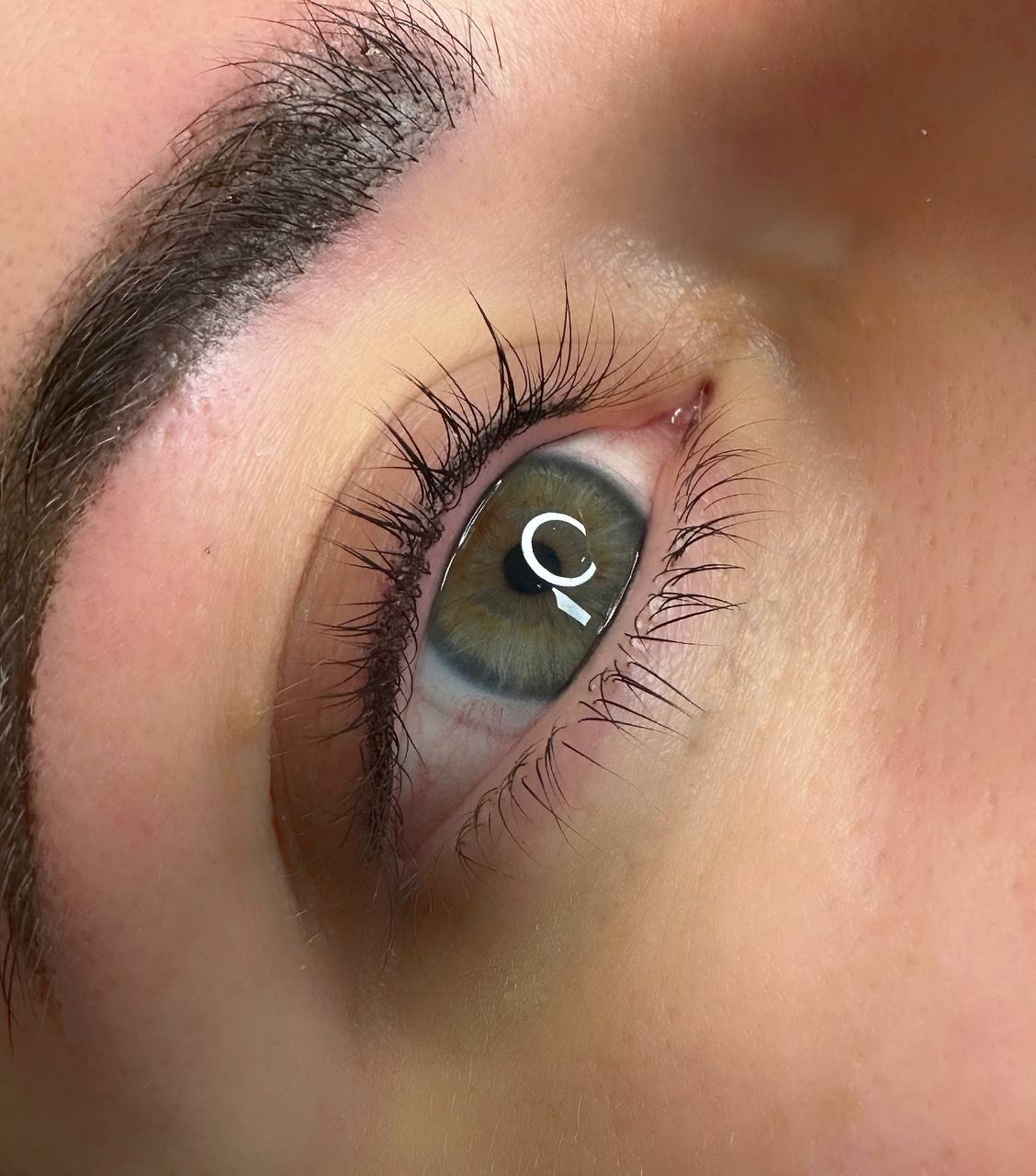 Wimpernkranz