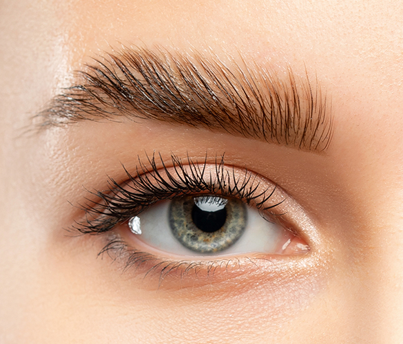 Wimpernlaminierung